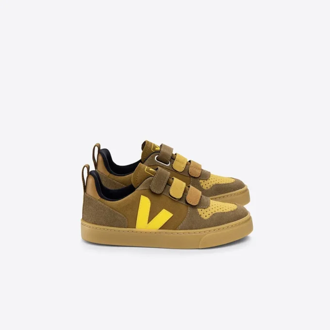 V-10 Ante Multico Camel