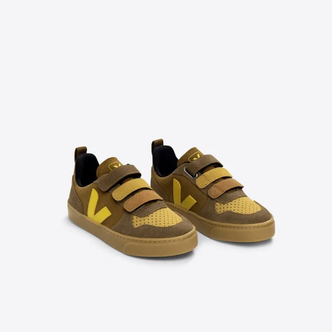 V-10 Ante Multico Camel