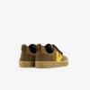 V-10 Ante Multico Camel